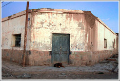 Dog sleeping in front of a doorway.