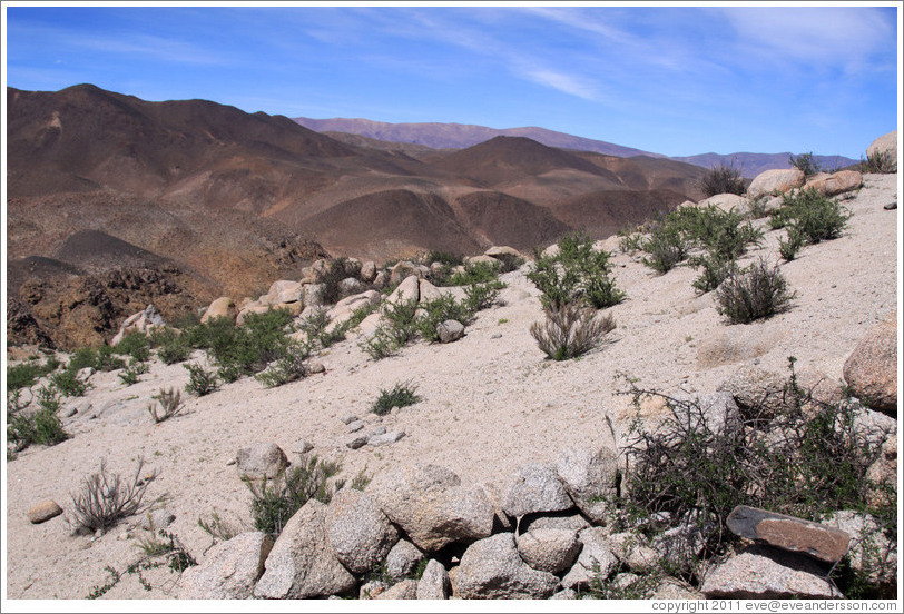 The Pre-Inca ruins of Tastil.