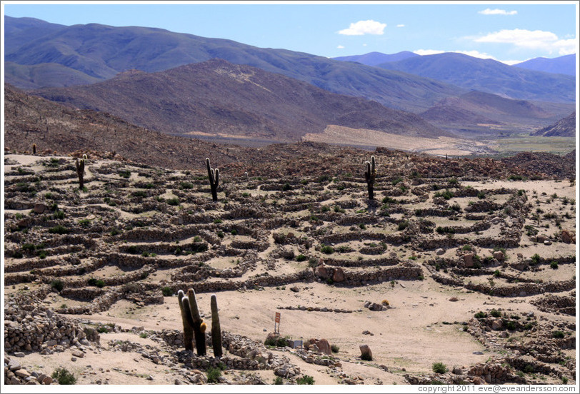 The Pre-Inca ruins of Tastil.