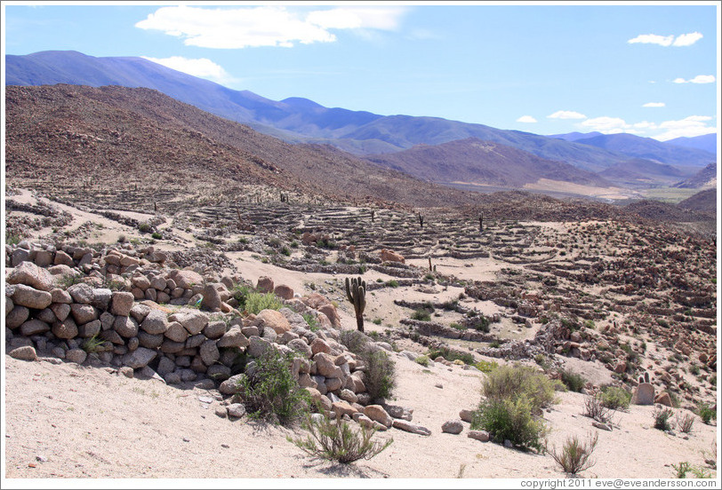 The Pre-Inca ruins of Tastil.