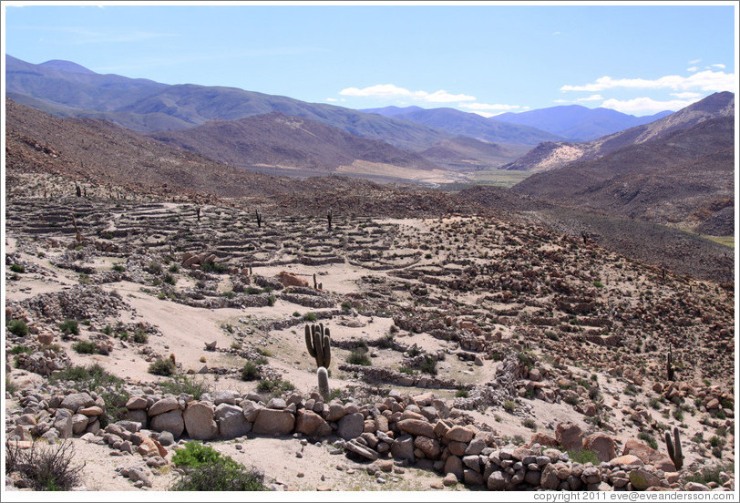 The Pre-Inca ruins of Tastil.