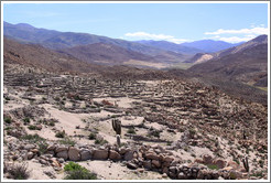 The Pre-Inca ruins of Tastil.