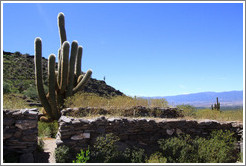 Pre-Inca ruins of Quilmes.