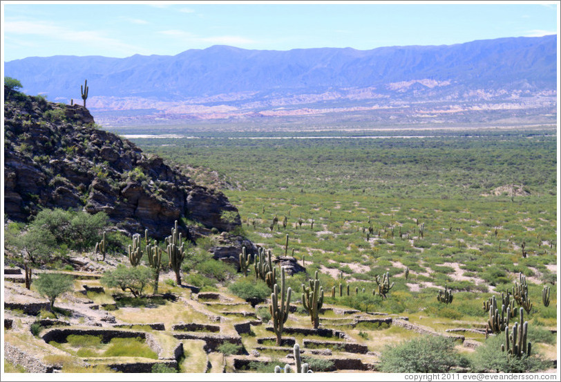 Pre-Inca ruins of Quilmes.