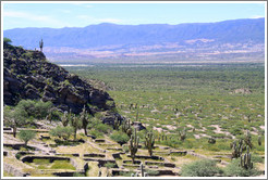 Pre-Inca ruins of Quilmes.