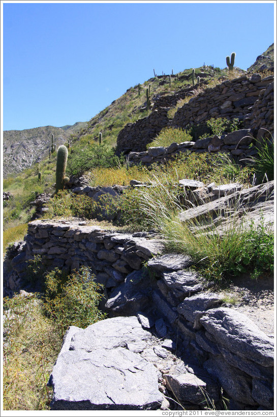 Pre-Inca ruins of Quilmes.