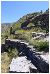 Pre-Inca ruins of Quilmes.