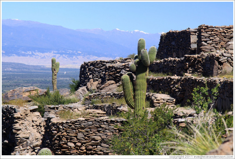 Pre-Inca ruins of Quilmes.