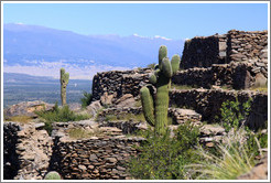 Pre-Inca ruins of Quilmes.