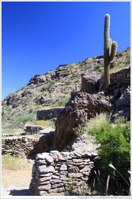 Pre-Inca ruins of Quilmes.