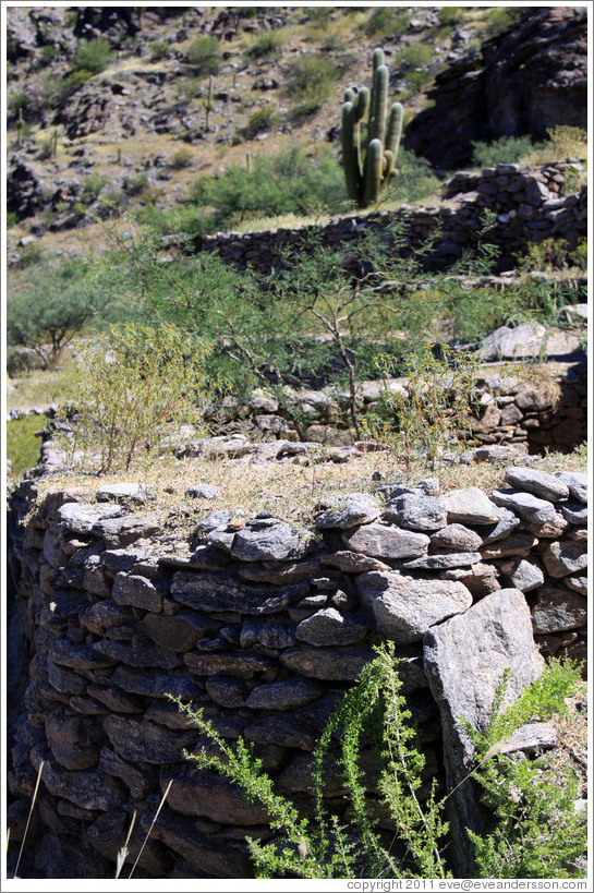 Pre-Inca ruins of Quilmes.