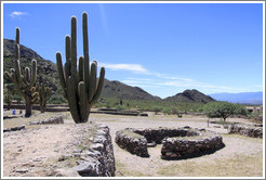 Pre-Inca ruins of Quilmes.