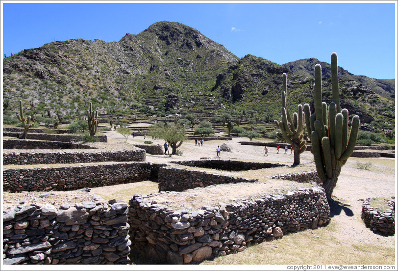 Pre-Inca ruins of Quilmes.