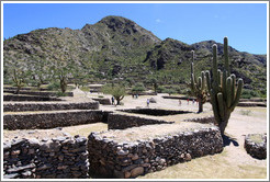 Pre-Inca ruins of Quilmes.