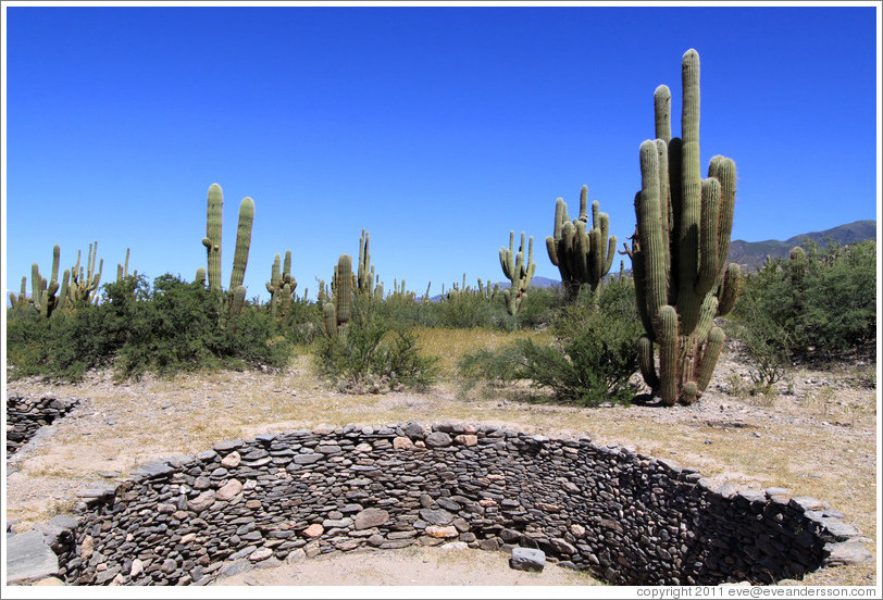 Pre-Inca ruins of Quilmes.