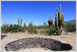 Pre-Inca ruins of Quilmes.