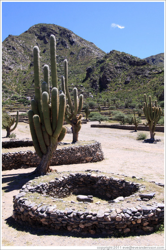 Pre-Inca ruins of Quilmes.