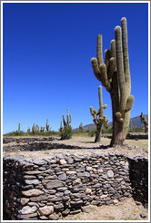 Pre-Inca ruins of Quilmes.