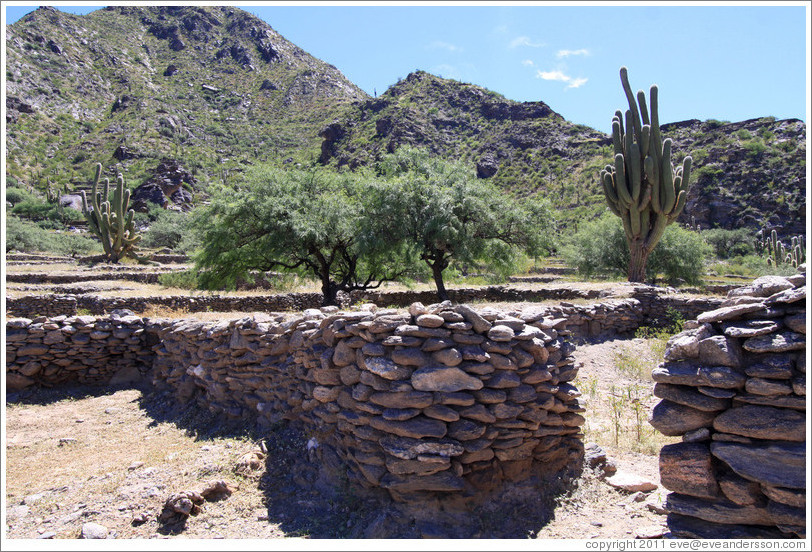 Pre-Inca ruins of Quilmes.