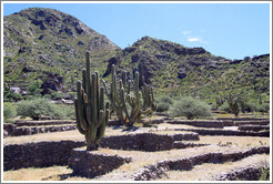 Pre-Inca ruins of Quilmes.