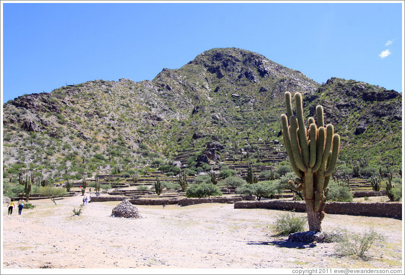 Pre-Inca ruins of Quilmes.