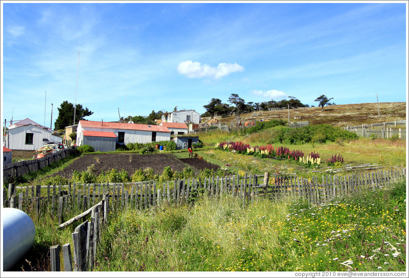 Estancia Harberton (Harberton Ranch), originally owned in the 19th century by Reverend Thomas Bridges, patriarch of Tierra del Fuego.