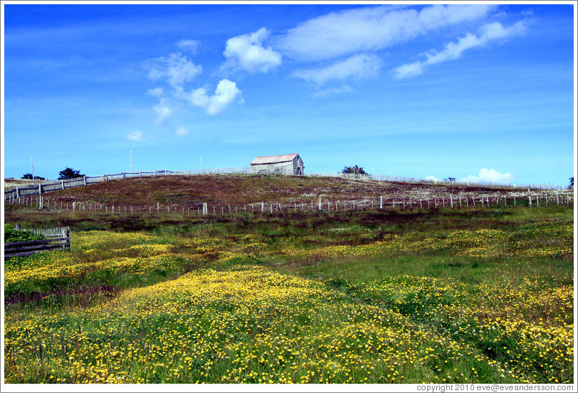 Estancia Harberton (Harberton Ranch), originally owned in the 19th century by Reverend Thomas Bridges, patriarch of Tierra del Fuego.