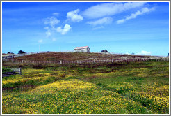 Estancia Harberton (Harberton Ranch), originally owned in the 19th century by Reverend Thomas Bridges, patriarch of Tierra del Fuego.