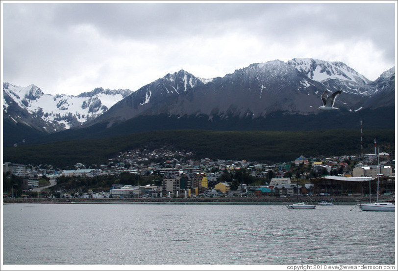 Ushuaia and its harbor, viewed from Aeroclub Ushuaia.