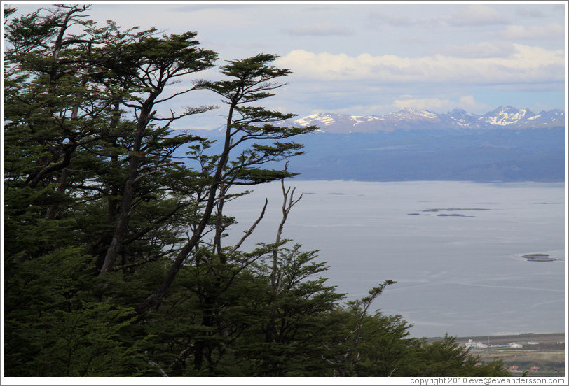 Trees and mountains across the Bah?de Ushuaia, viewed from the Aerosilla Glaciar Martial.