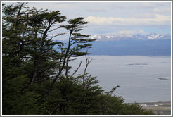 Trees and mountains across the Bah?de Ushuaia, viewed from the Aerosilla Glaciar Martial.