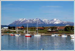 Sailboats houses, Bah?de Ushuaia.