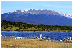 Blue mountain.  Some Magellanic Penguins are visible.