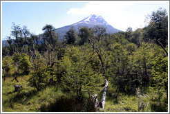 Bog and mountain.  Costera Sendero (Coastal Path).