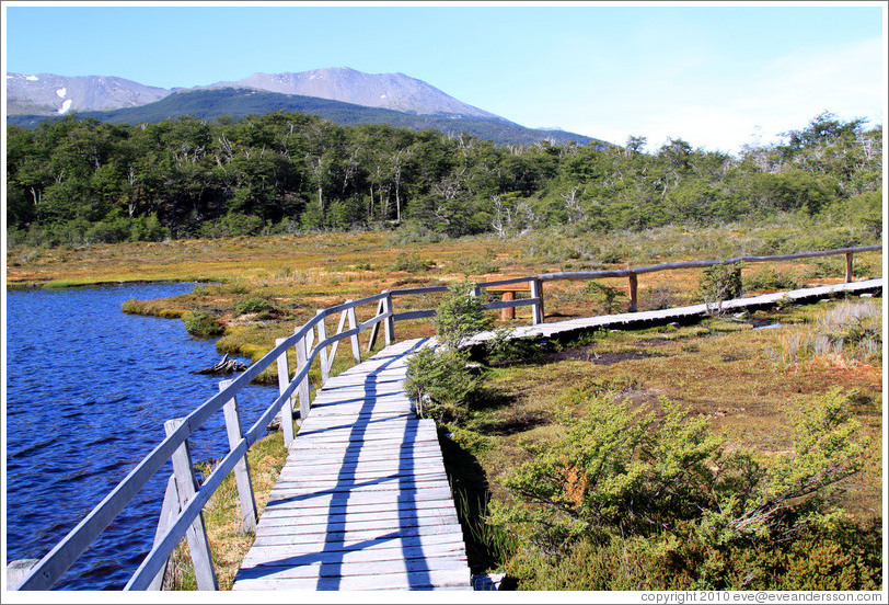 Laguna Negra.