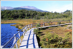 Laguna Negra.