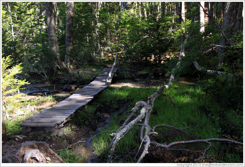 Bridge, Pampa Alta trail.