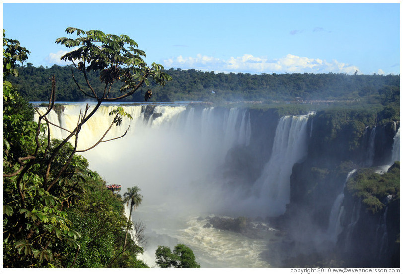 Iguassu Falls, seen from the Brazil side.