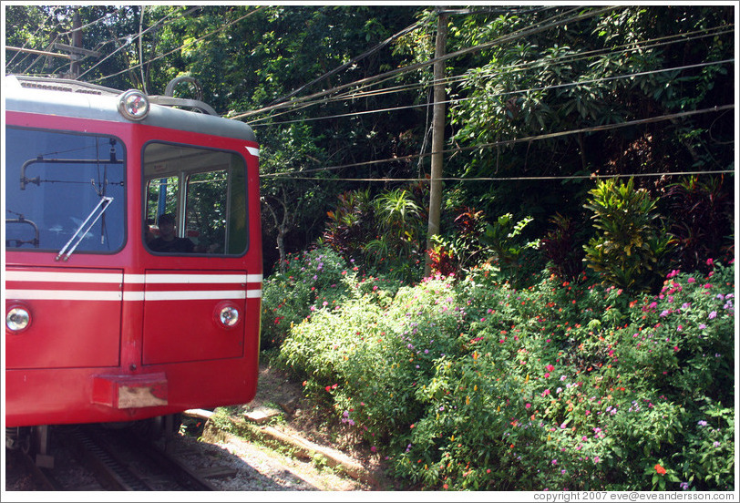 Train that takes visitors to the top of Corcovado Mountain.  Built in 1884, this is Brazil's old electric railroad.