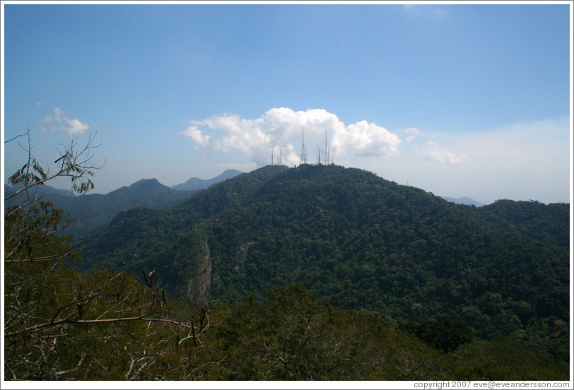 Forest area viewed from the top of Corcovado Mountain.