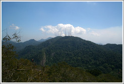 Forest area viewed from the top of Corcovado Mountain.