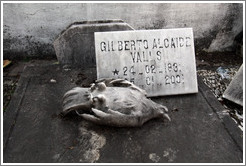 Sculpture of a dead bird on top of a tomb.  Cemit?o S?Paulo.