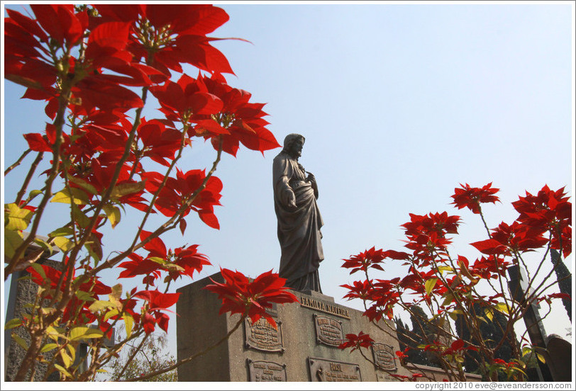 Flowers and a Jesus statue.  Cemit?o S?Paulo.