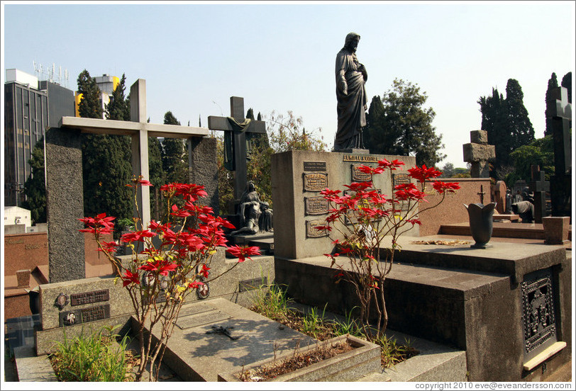 Flowers and a Jesus statue.  Cemit?o S?Paulo.