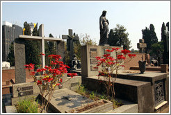 Flowers and a Jesus statue.  Cemit?o S?Paulo.