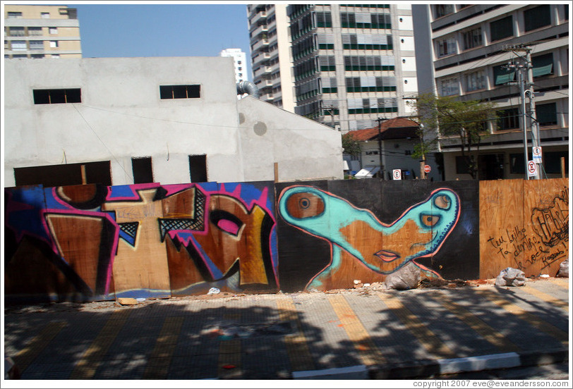 Graffiti in S&atilde;o Paulo.