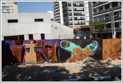 Graffiti in S&atilde;o Paulo.