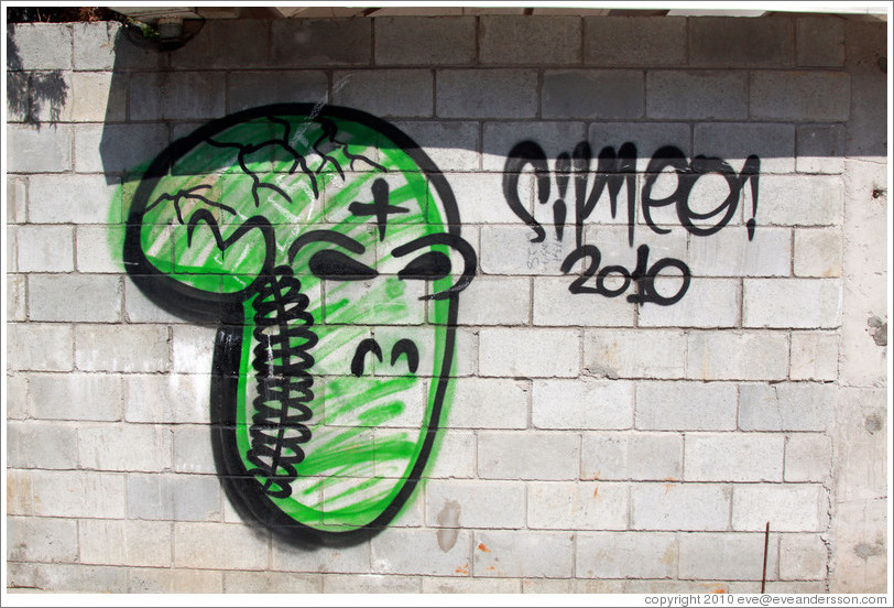 Graffiti: green skull with cracks.  Rua Olimp?as.