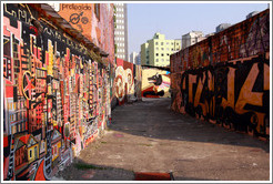 Graffiti: cityscape and dog.  Villa Magdalenda neighborhood.  Alley between Rua Padre Jo?Gon?ves and Rua Belmiro Braga.