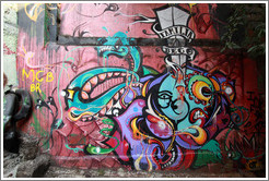 Graffiti: blue octopus or serpent, with the words Familia Beco.  Villa Magdalenda neighborhood.  Alley between Rua Padre Jo?Gon?ves and Rua Belmiro Braga.